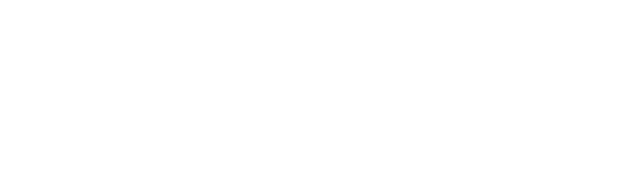 Fundi Mwaniki Logo